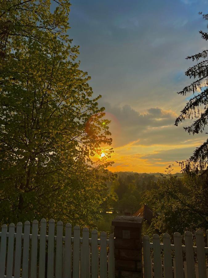 Konaci Nikola Banja Vrujci Gornja Toplica Exterior foto